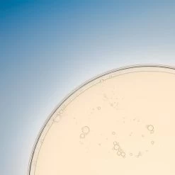 Estee Lauder Advanced Night Repair - Concentré Apaisant -Maquillage Et Soins Boutique advanced night repair concentre apaisant 6