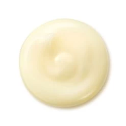 Shiseido Benefiance - Crème Lissante Anti Rides 7 Shiseido Benefiance - Crème Lissante Anti Rides -Maquillage Et Soins Boutique benefiance creme lissante anti rides 3